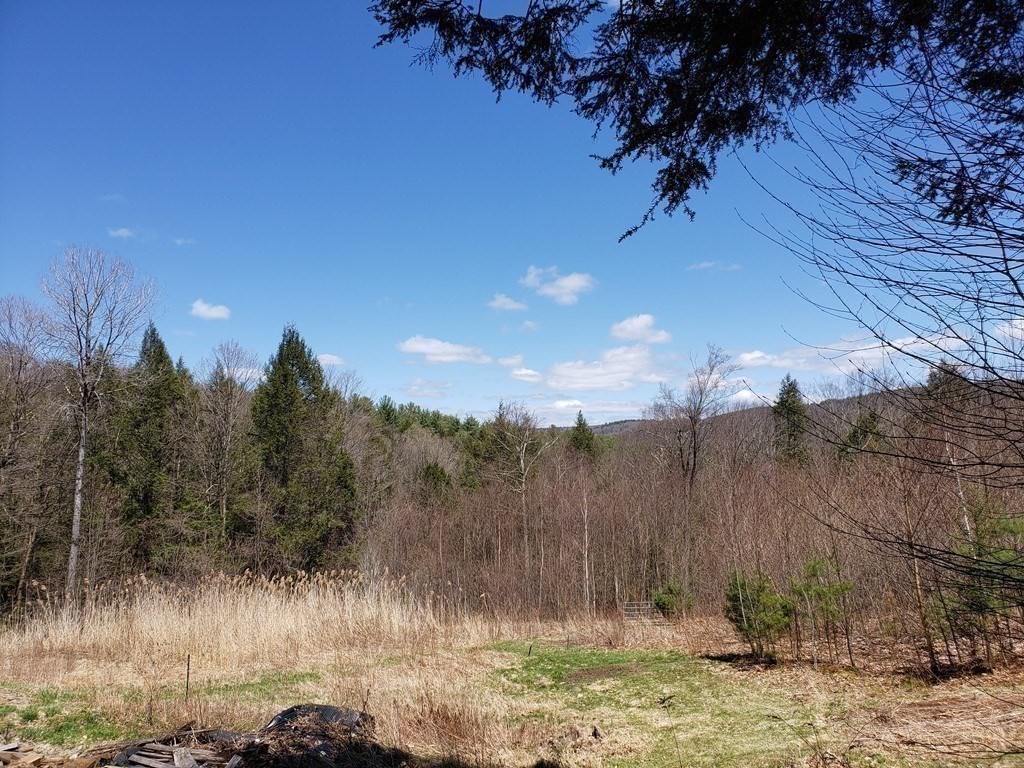 31 Goss Hill Road Huntington, MA 01050 - Photo 12 of 20 a view of a backyard of the house