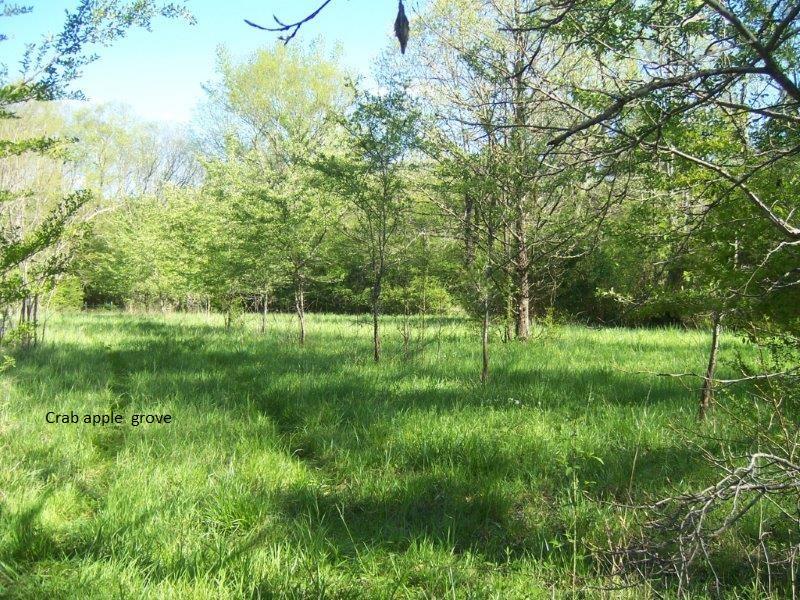 Tbd Dockery Road Rockingham, NC 28379 - Photo 13 of 17 023