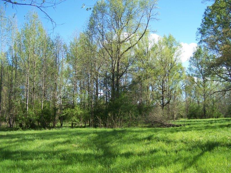 Tbd Dockery Road Rockingham, NC 28379 - Photo 15 of 17 026