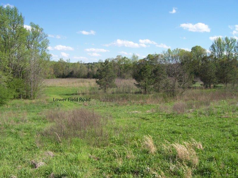 Tbd Dockery Road Rockingham, NC 28379 - Photo 5 of 17 009