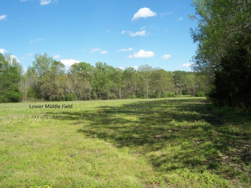 Tbd Dockery Road Rockingham, NC 28379 - Photo 7 of 17 012