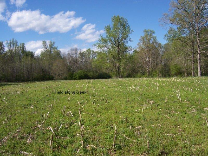 Tbd Dockery Road Rockingham, NC 28379 - Photo 8 of 17 016