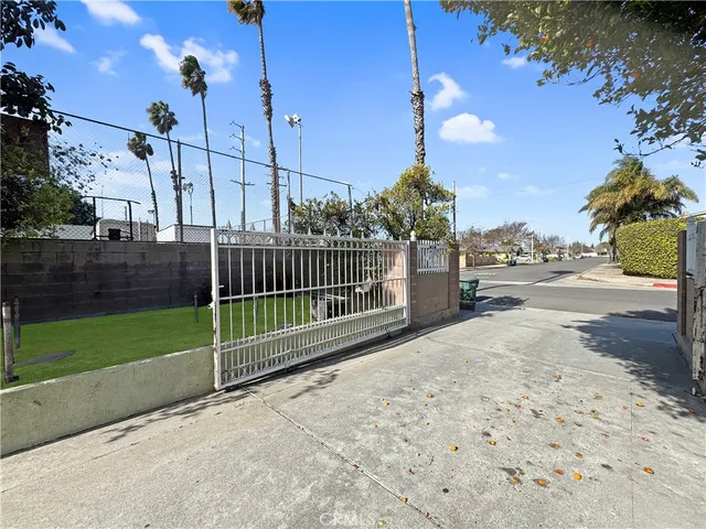 a view of a garden with plants and trees