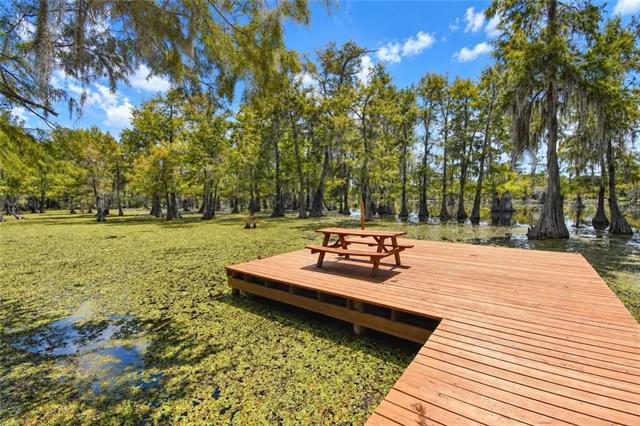 2028 Hardwater Lake Road Pollock, LA 71467 - Photo 2 of 54 Gallery Image 2