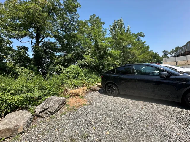 a view of a yard with large trees