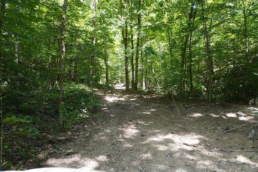 3301 Joppa Mountain Road Rutledge, TN 37861 - Photo 12 of 50 Gallery Image 12