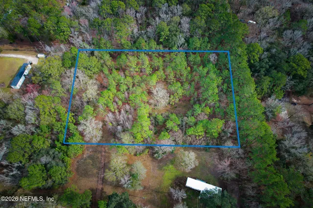 a view of a lake with large trees