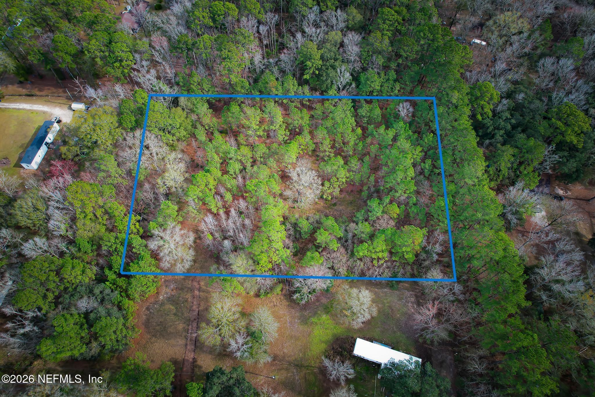 a view of a lake with large trees