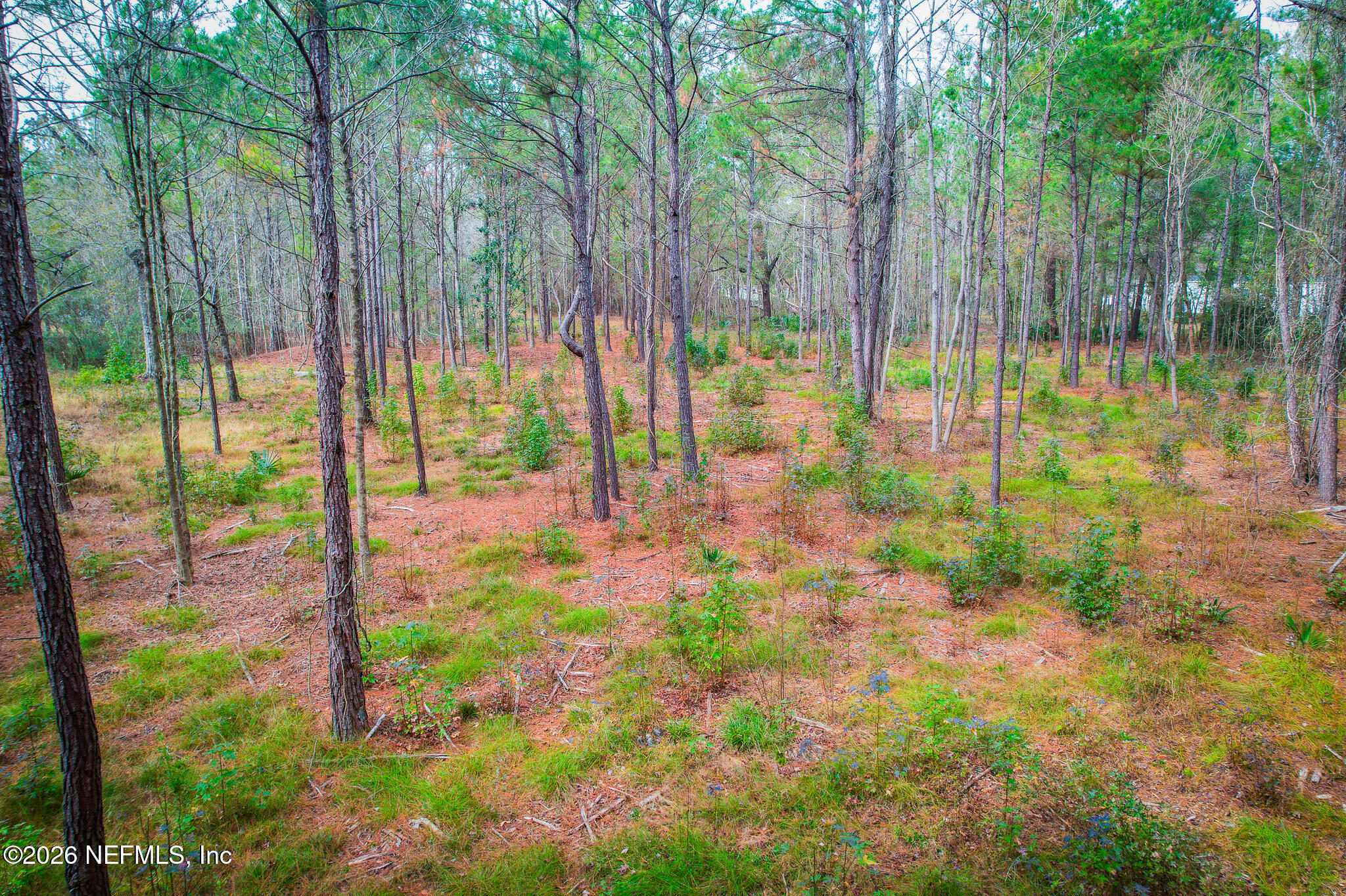 27 Ratliff Road Callahan, FL 32011 - Photo 19 of 21