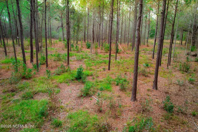 $75,000 | 27 Ratliff Road, Callahan, FL 32011