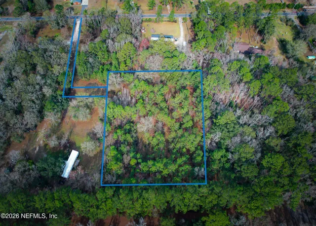 an aerial view of a house with a yard and large trees