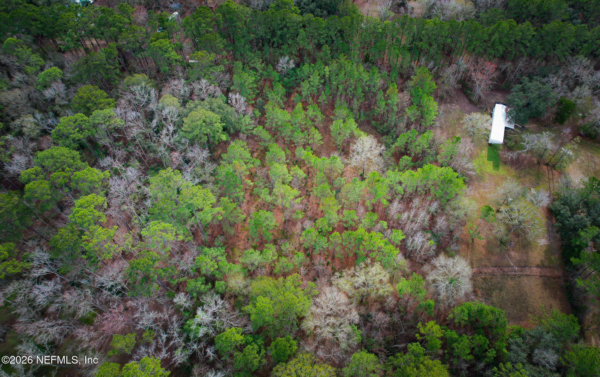 27 Ratliff Road Callahan, FL 32011 - Photo 8 of 21 a view of a garden with a house