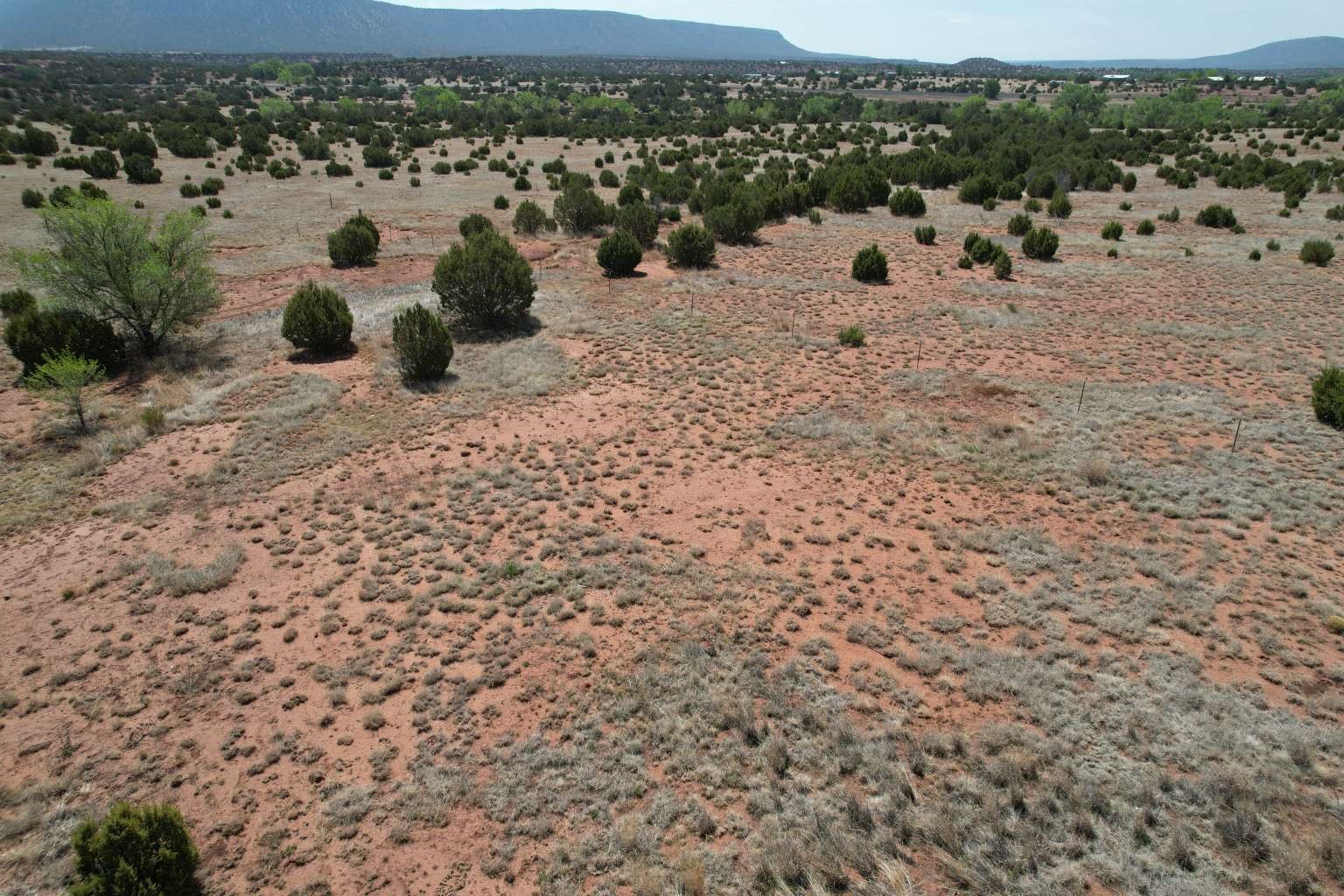 0 County Road Ribera, NM 87560 - Photo 4 of 20