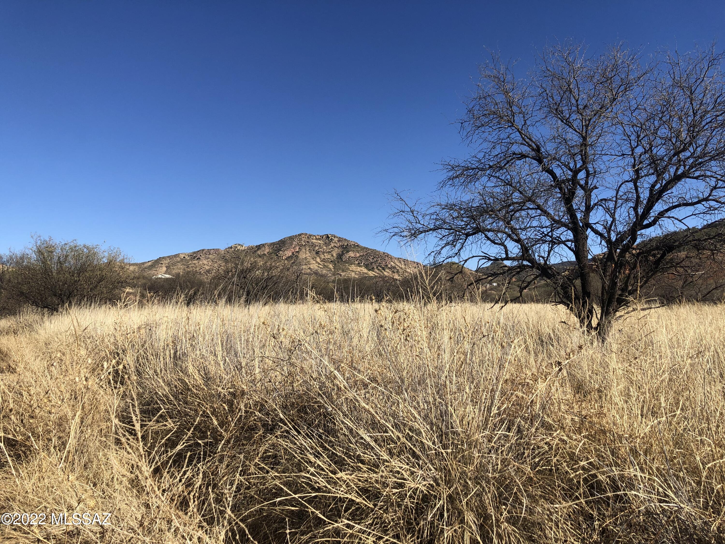 Tbd Harshaw Road Patagonia, AZ 85624 - Photo 6 of 8