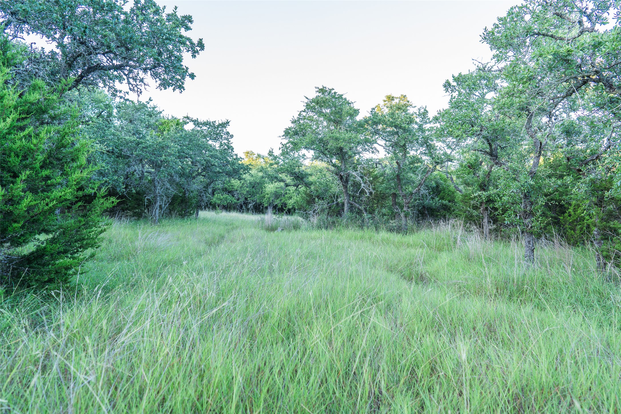 Tbd Crabapple Road Blanco, TX 78606 - Photo 17 of 17