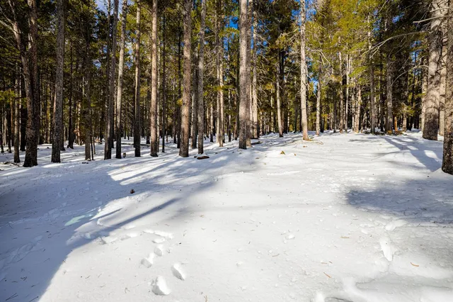 $199,900 | 10486 Casper Mountain Road, Casper, WY 82601