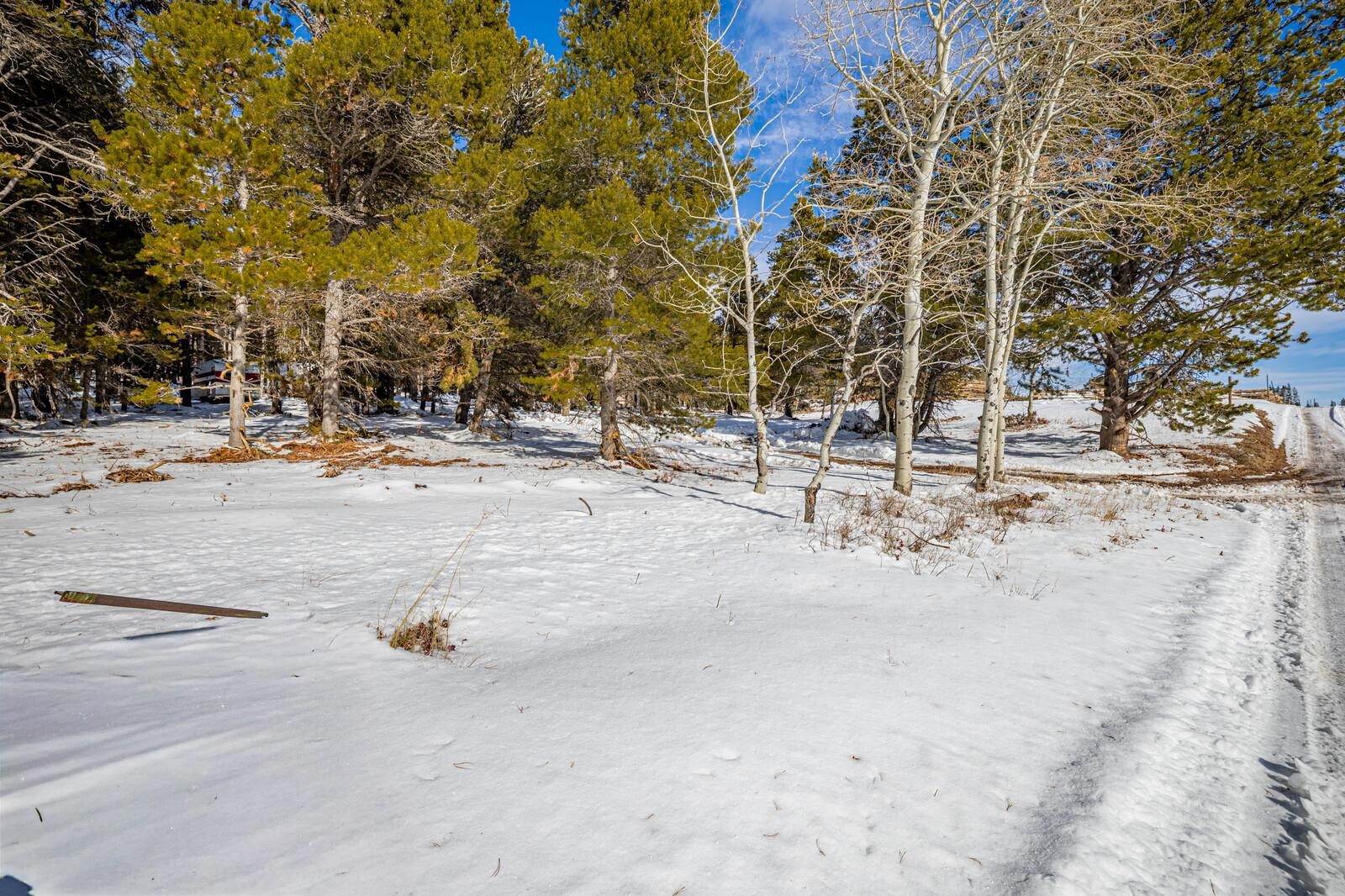 10486 Casper Mountain Road Casper, WY 82601 - Photo 22 of 47