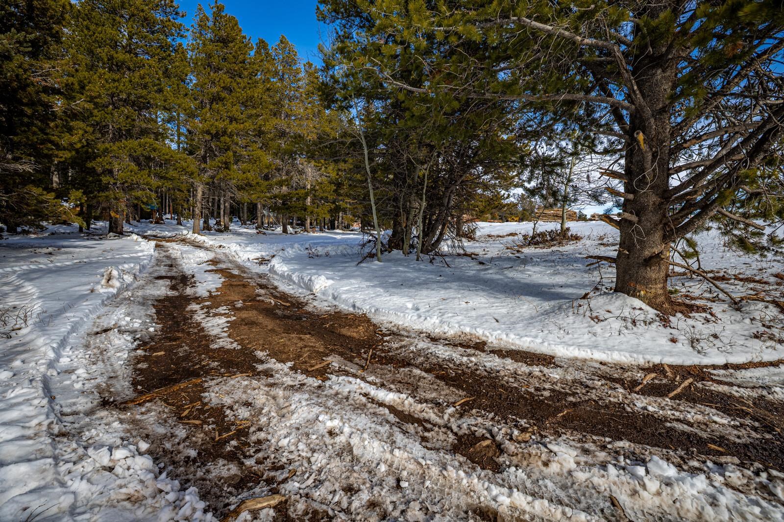 10486 Casper Mountain Road Casper, WY 82601 - Photo 23 of 47