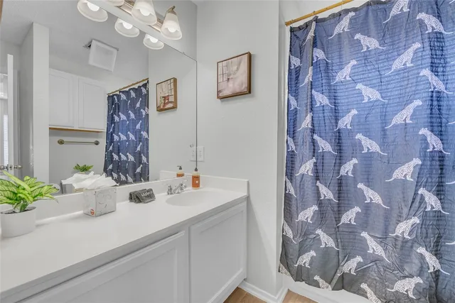 a bathroom with a sink mirror and vanity