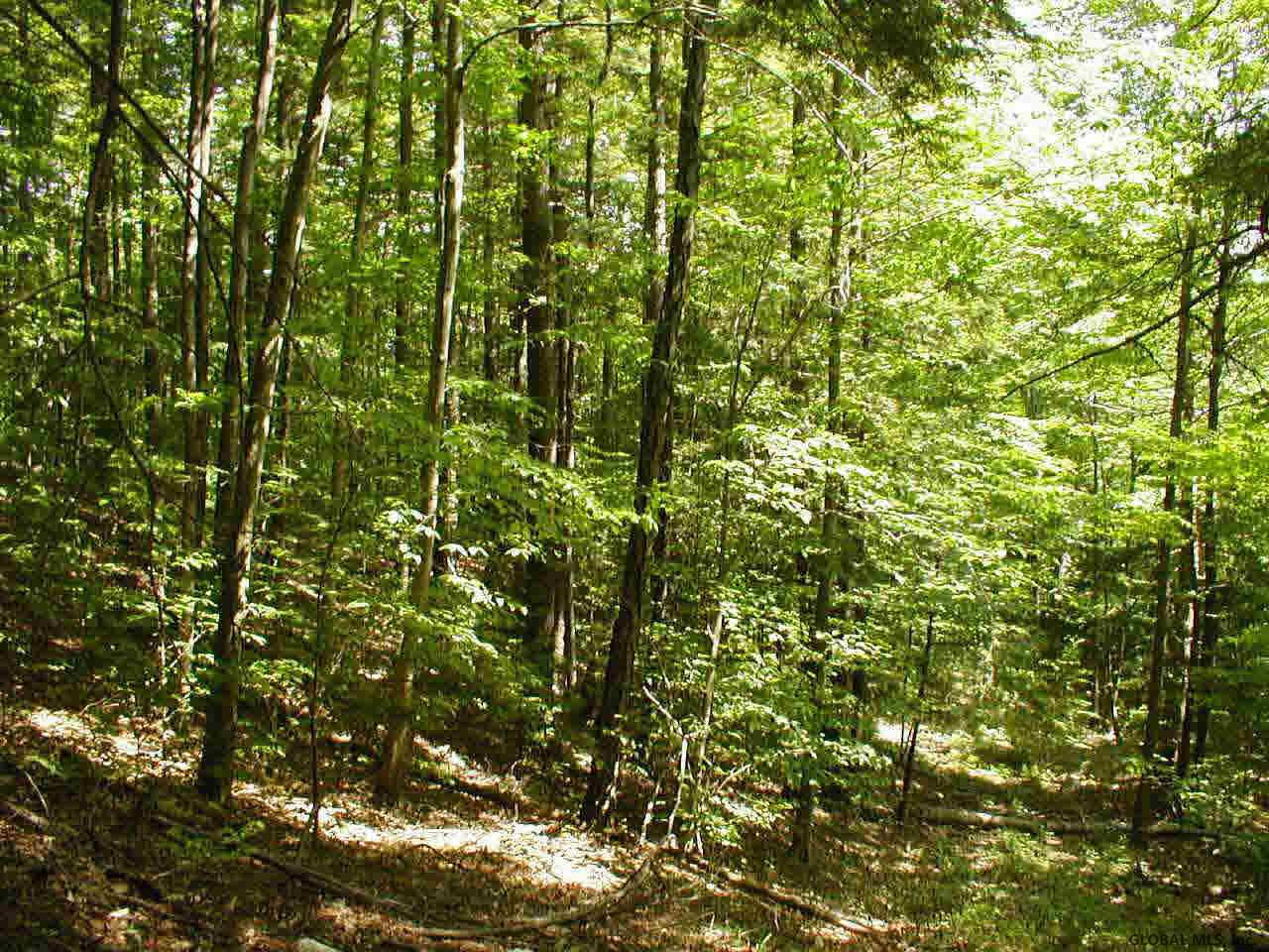 Best Road Putnam Station, NY 12861 - Photo 1 of 1 Photo 1