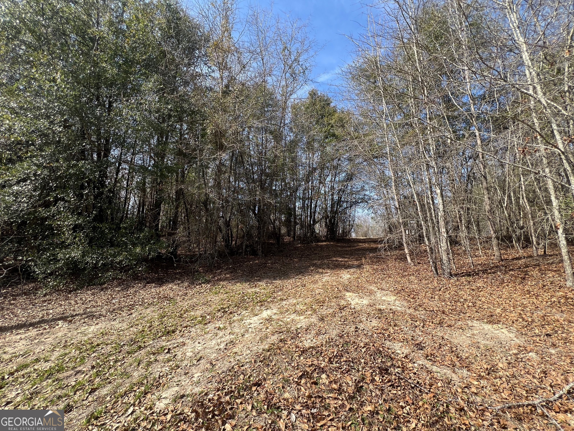 660 Brooks Road Sandersville, GA 31082 - Photo 14 of 16 a view of backyard with green space