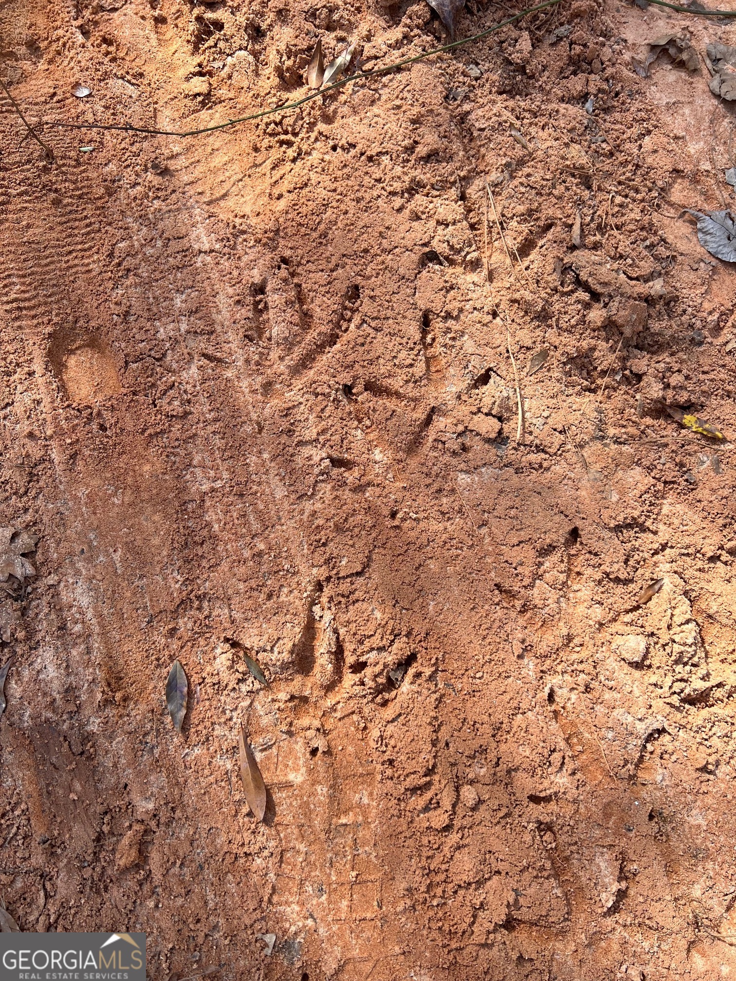 660 Brooks Road Sandersville, GA 31082 - Photo 15 of 16 a view of a yard