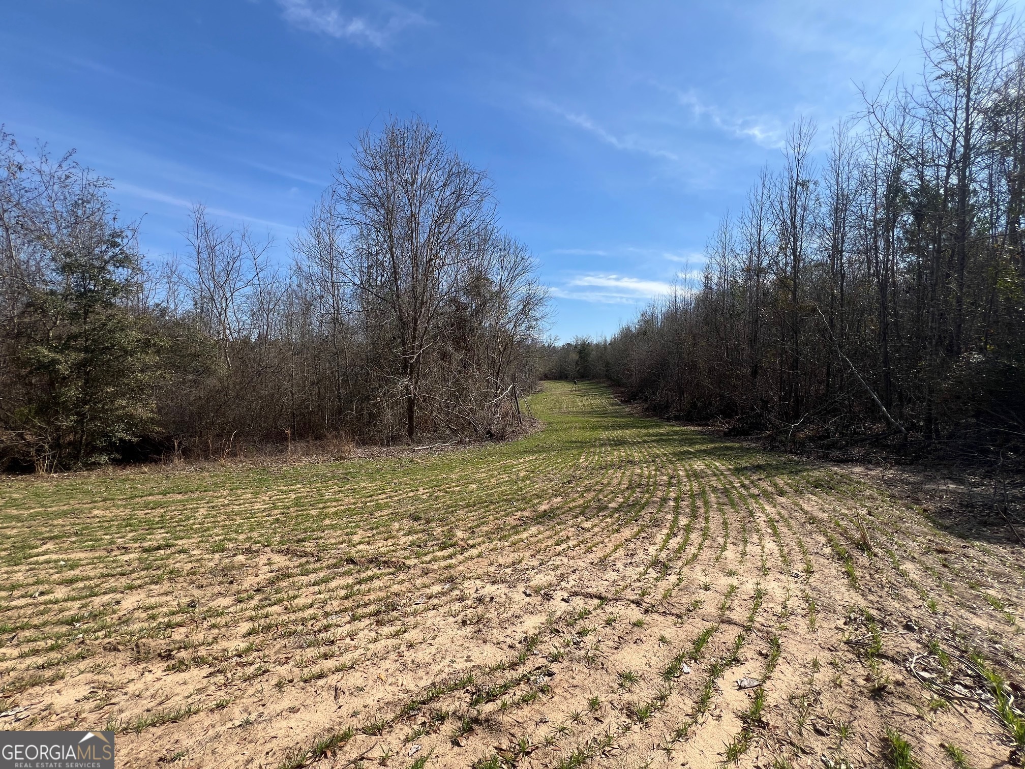 660 Brooks Road Sandersville, GA 31082 - Photo 3 of 16 a view of backyard with green space