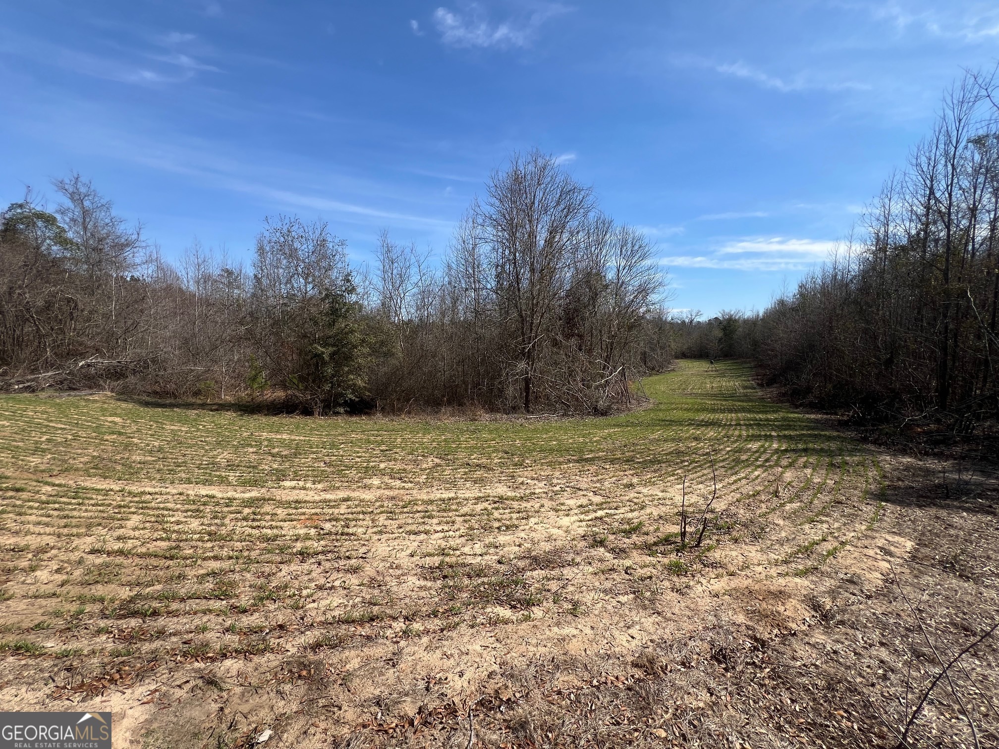 660 Brooks Road Sandersville, GA 31082 - Photo 4 of 16 a view of a yard with an trees