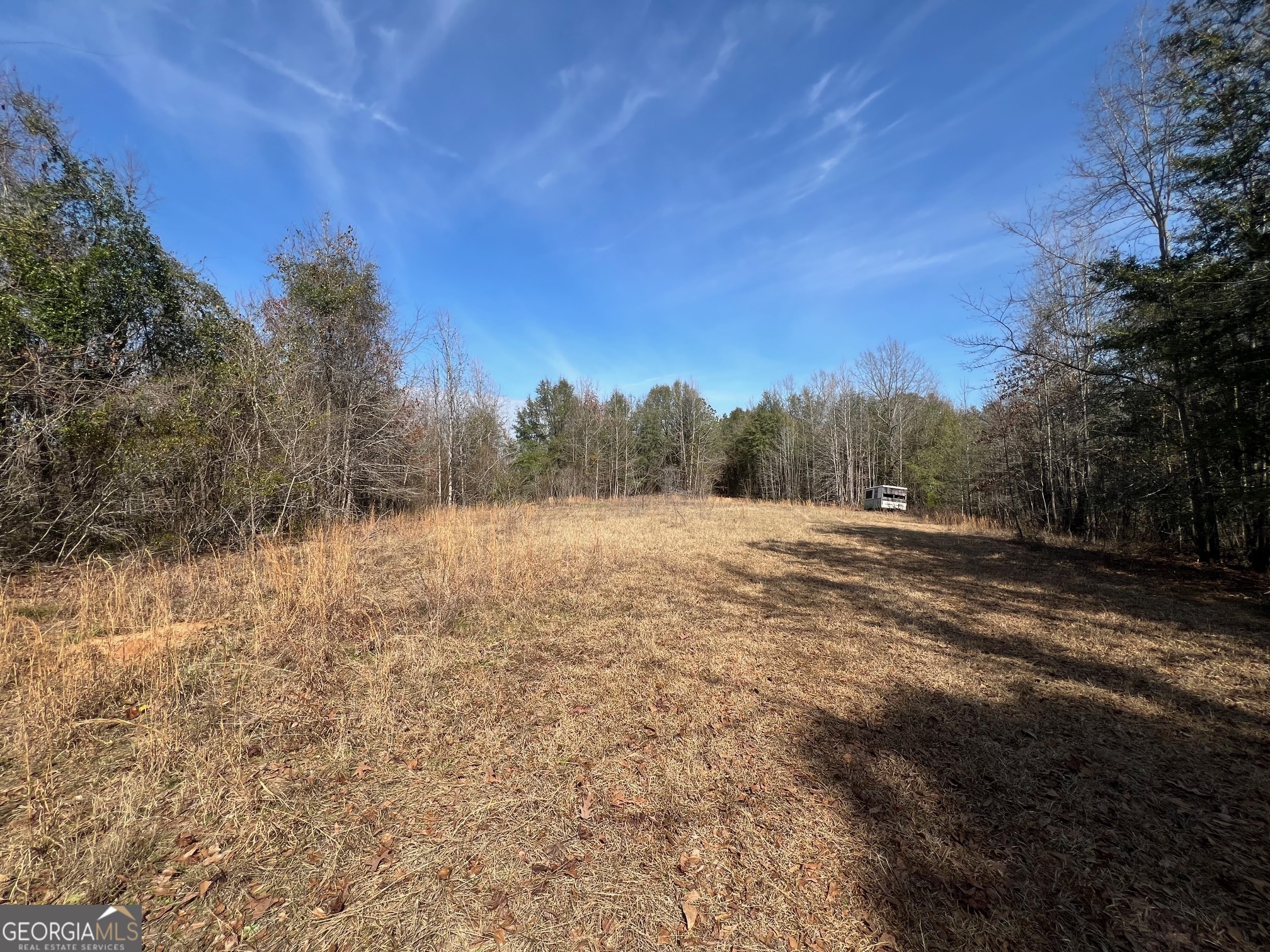 660 Brooks Road Sandersville, GA 31082 - Photo 5 of 16 a view of mountain view with trees