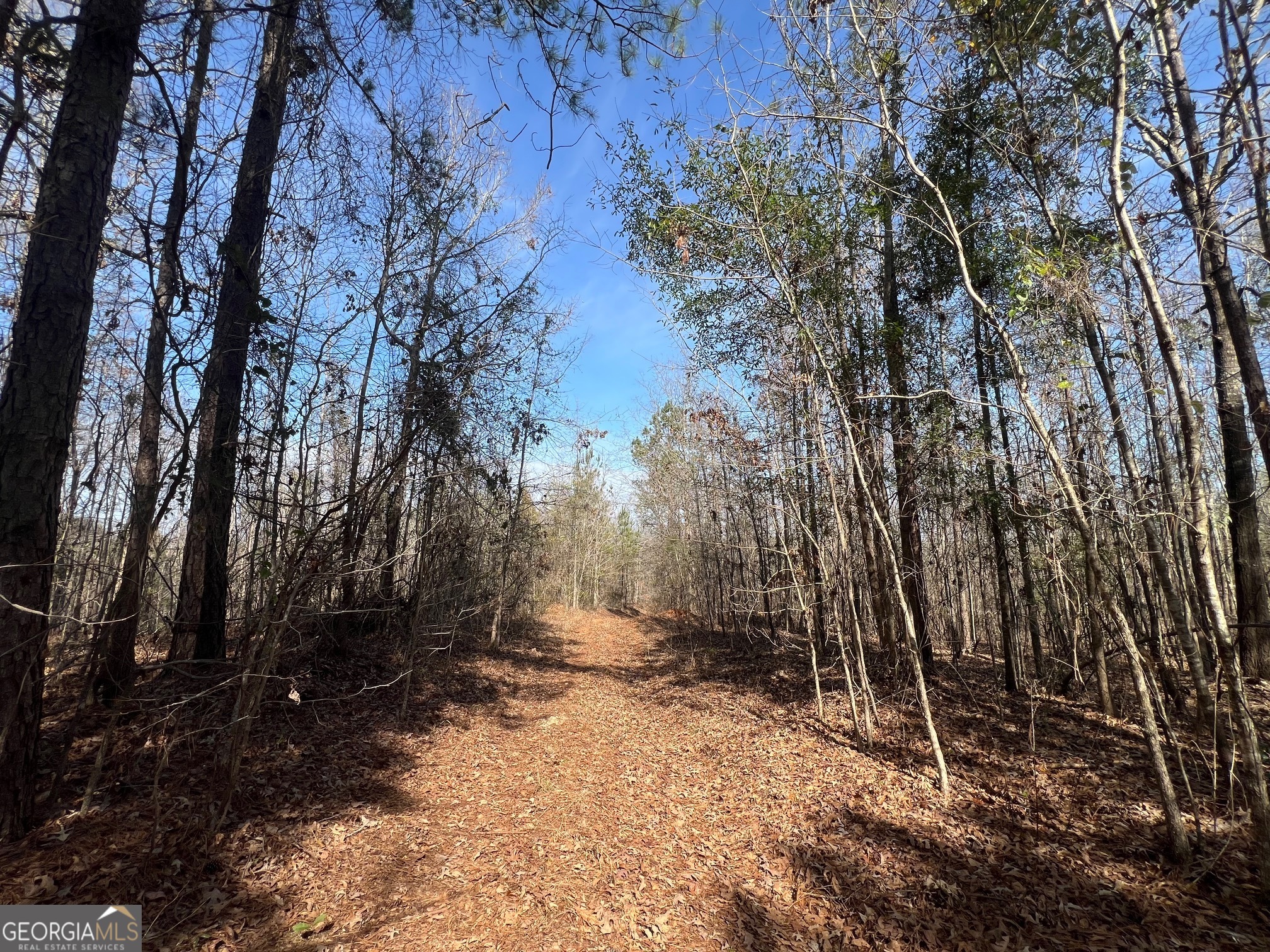 660 Brooks Road Sandersville, GA 31082 - Photo 6 of 16 a backyard of a house with lots of green space