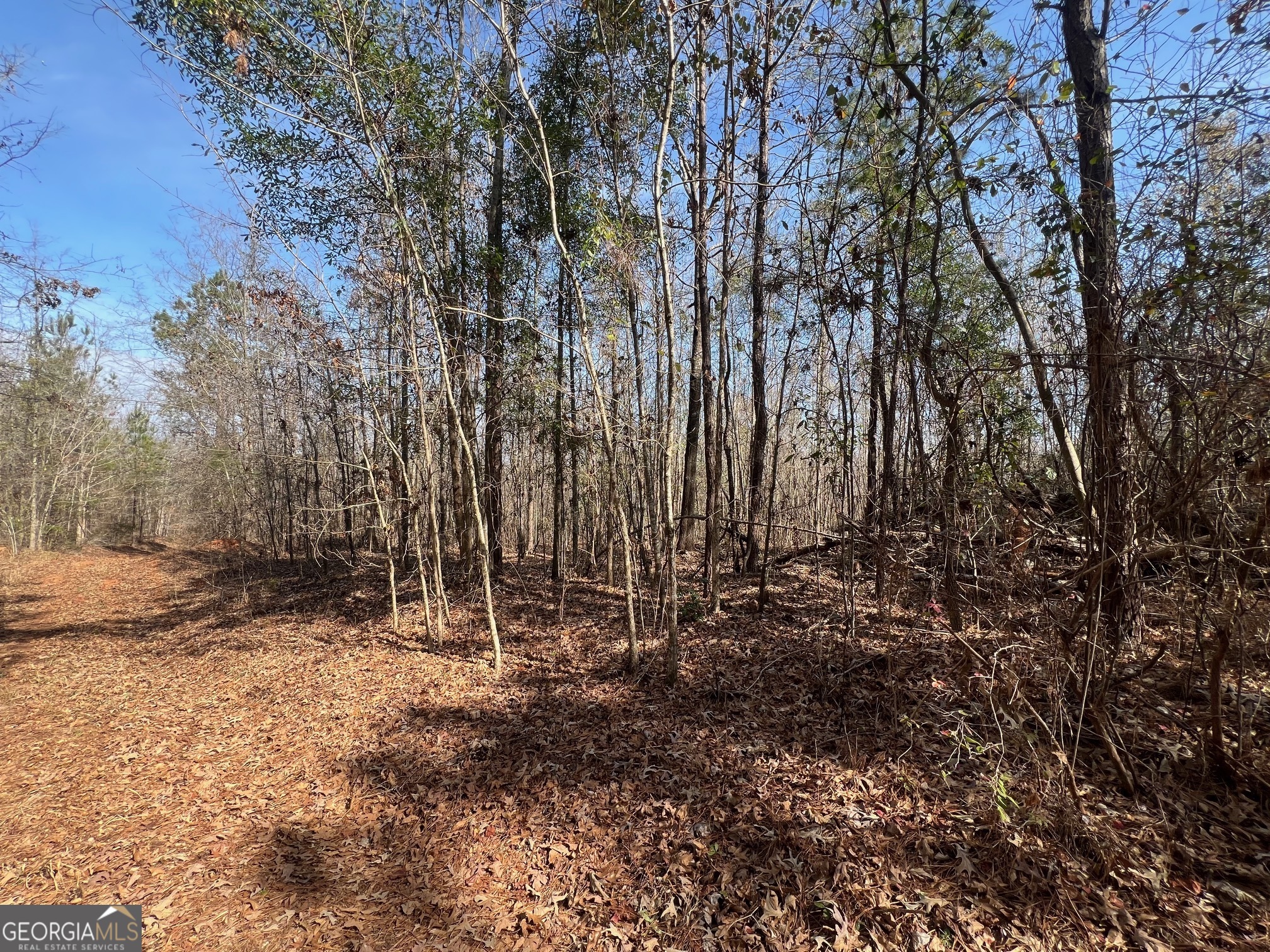 660 Brooks Road Sandersville, GA 31082 - Photo 7 of 16 a view of outdoor space with trees