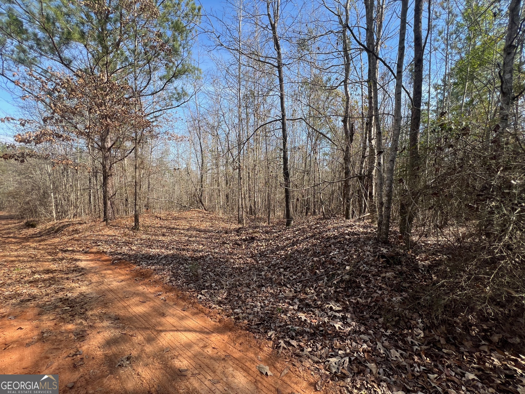 660 Brooks Road Sandersville, GA 31082 - Photo 8 of 16 a backyard of a house with lots of green space