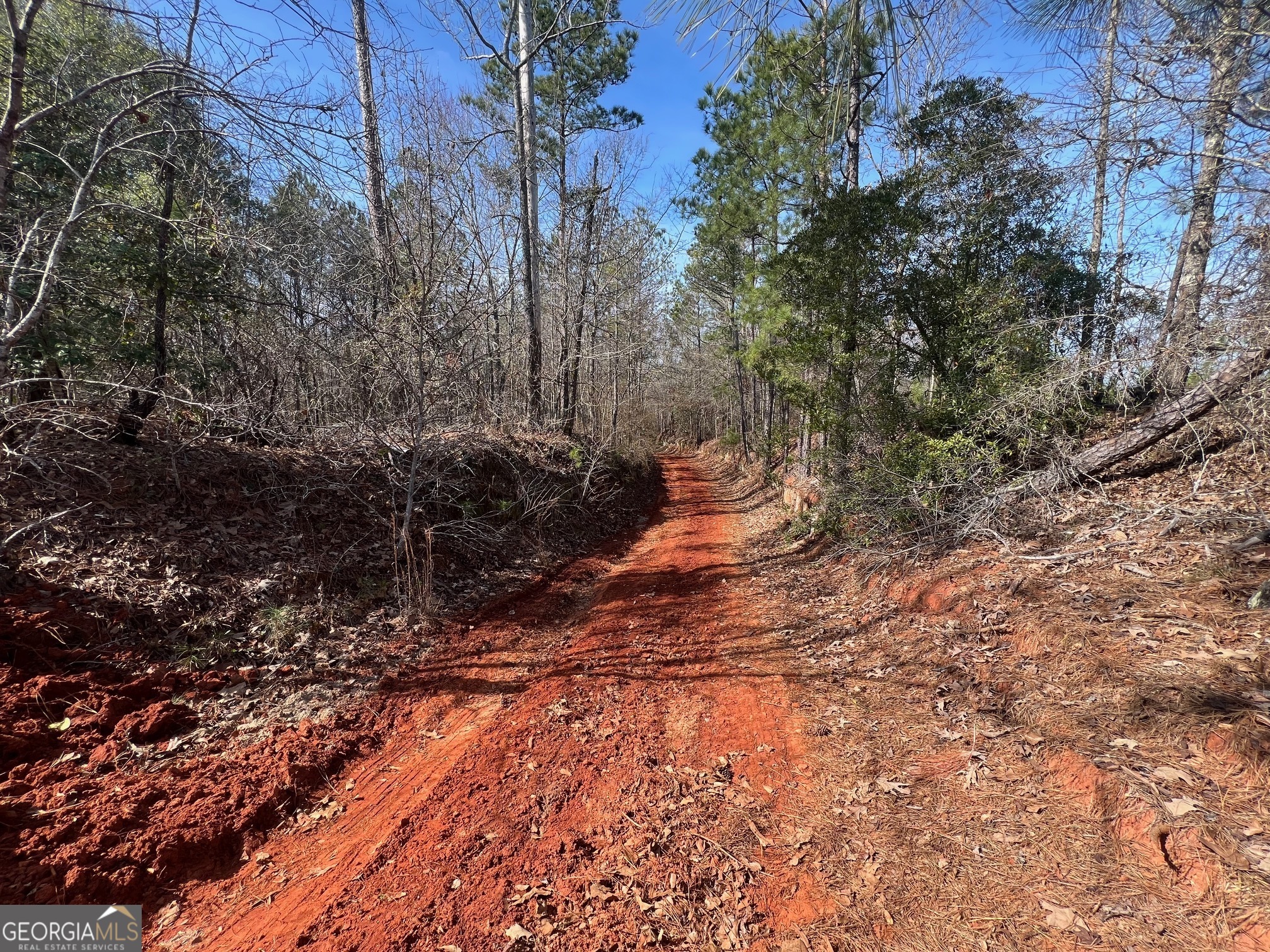660 Brooks Road Sandersville, GA 31082 - Photo 9 of 16 a view of a yard with plants and trees