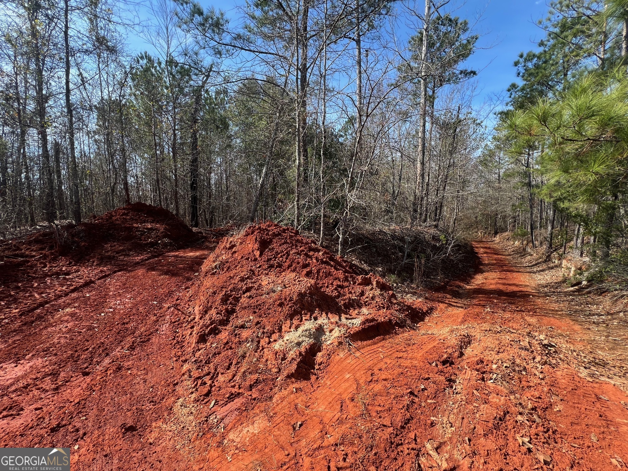 660 Brooks Road Sandersville, GA 31082 - Photo 10 of 16 a view of a backyard of the house
