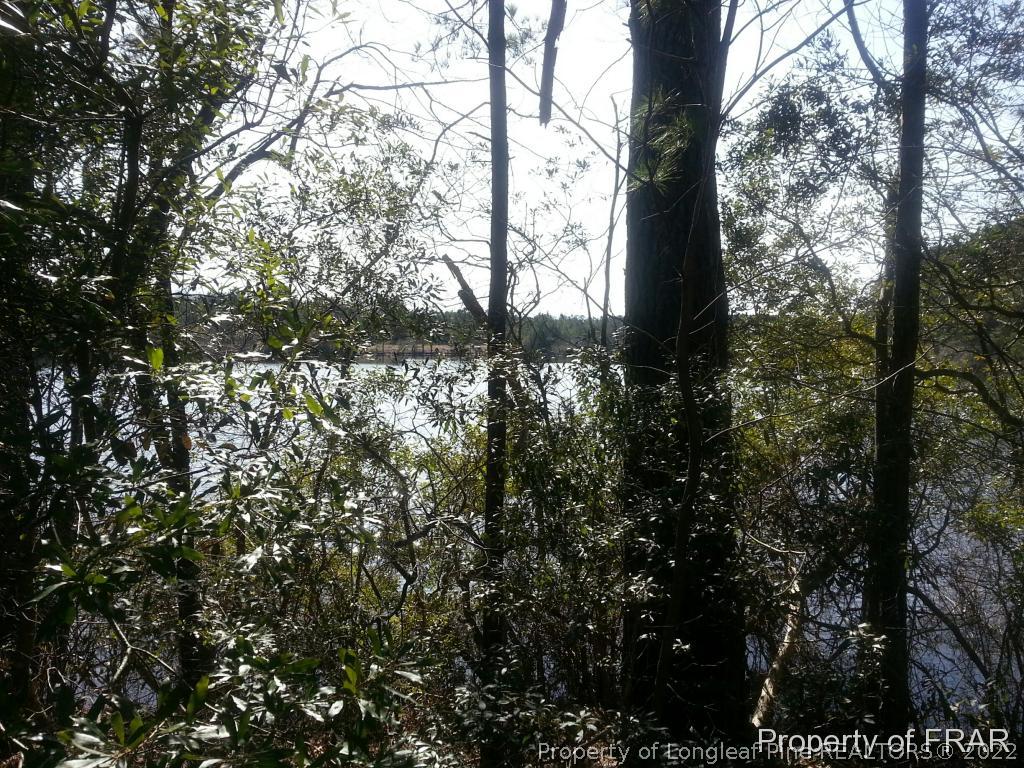 Rebel Road Linden, NC 28356 - Photo 1 of 2 Gallery Image 1