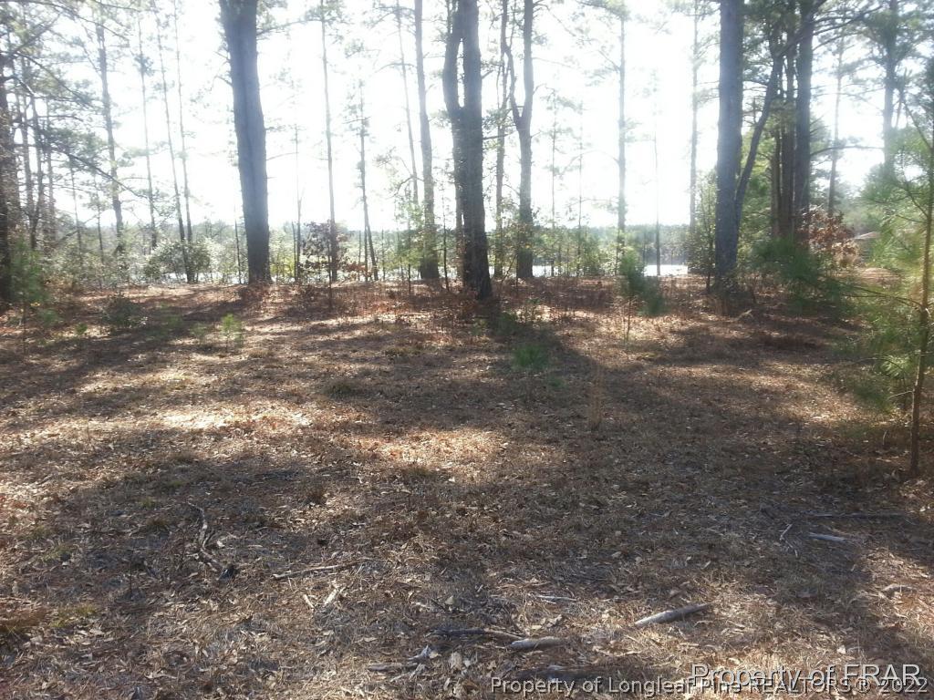Rebel Road Linden, NC 28356 - Photo 2 of 2 Gallery Image 2