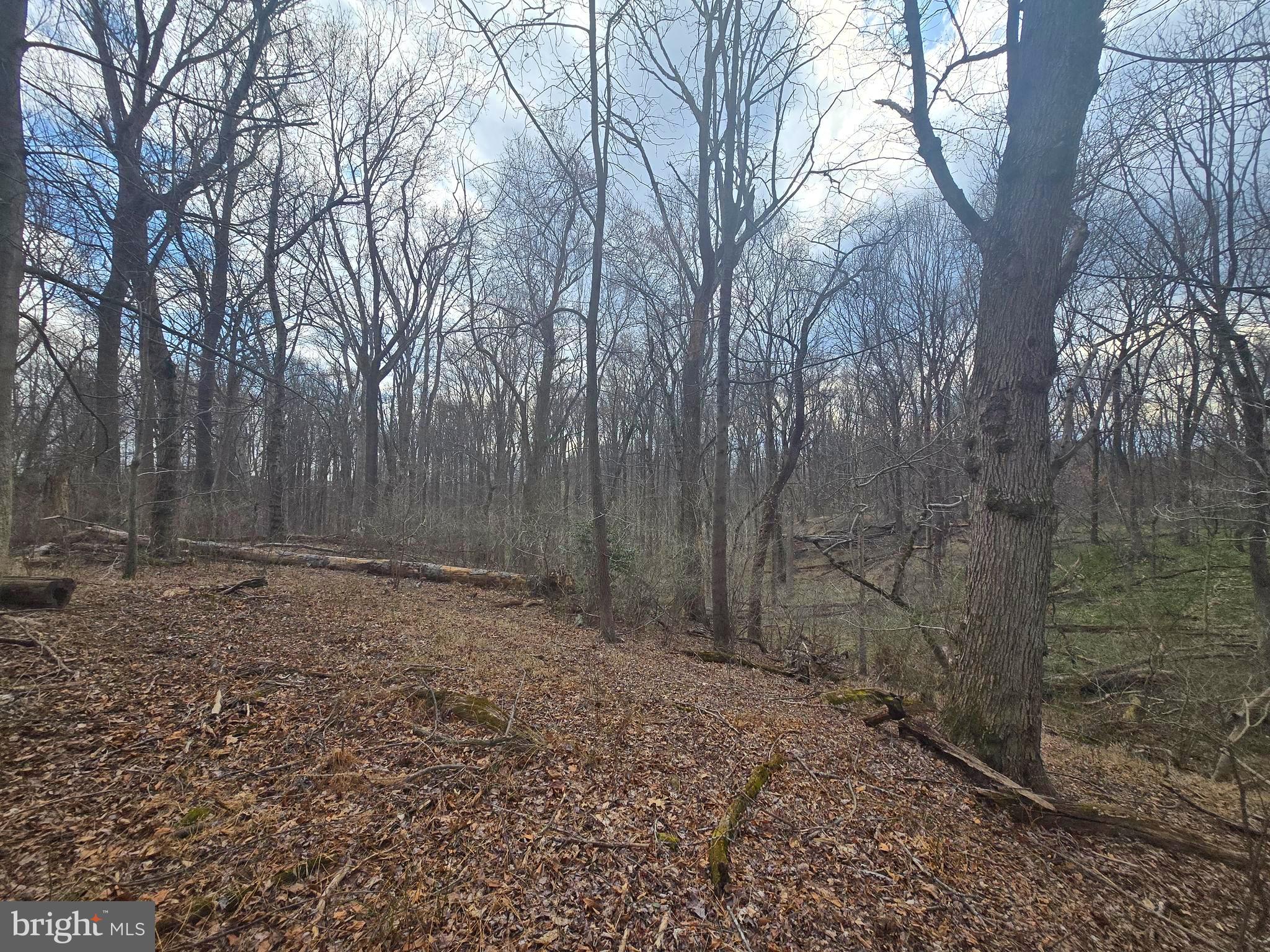 1160 Day Road Sykesville, MD 21784 - Photo 3 of 10 a view of a yard with trees
