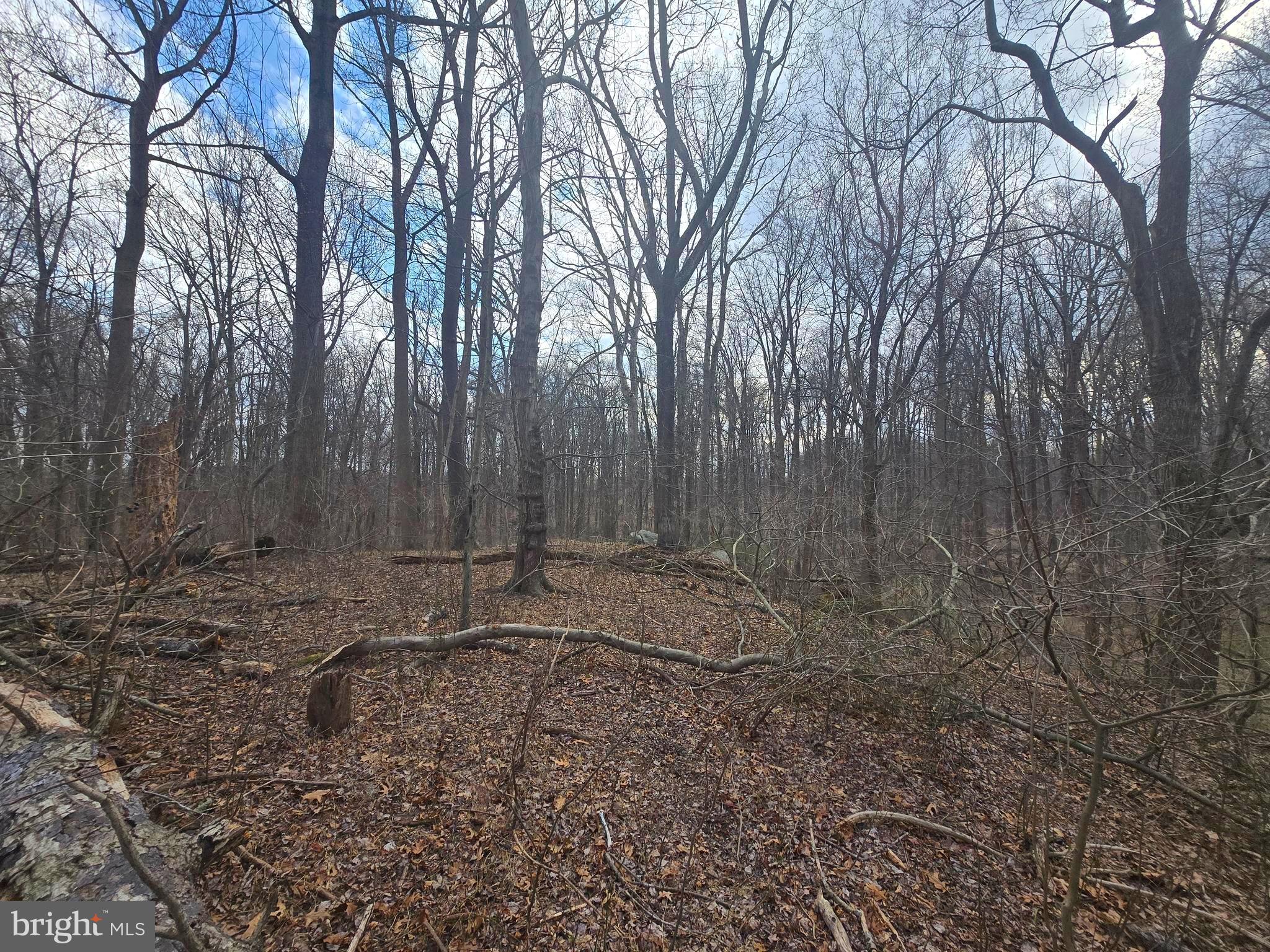 1160 Day Road Sykesville, MD 21784 - Photo 4 of 10 a view of a backyard with large trees