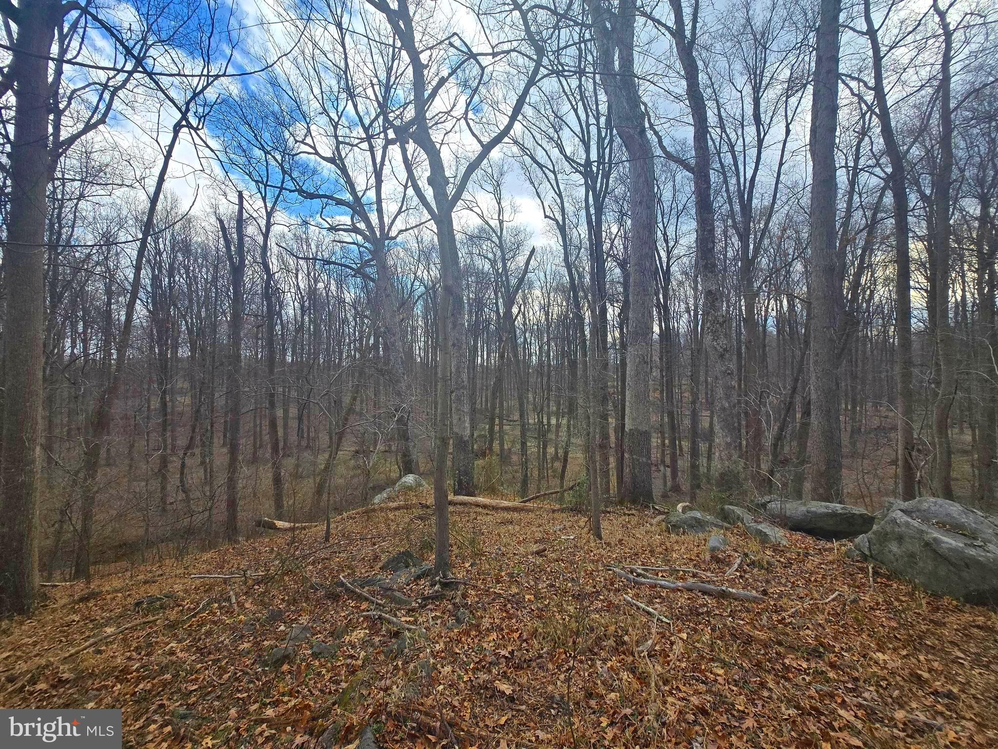 1160 Day Road Sykesville, MD 21784 - Photo 7 of 10 a backyard of a house with lots of green space