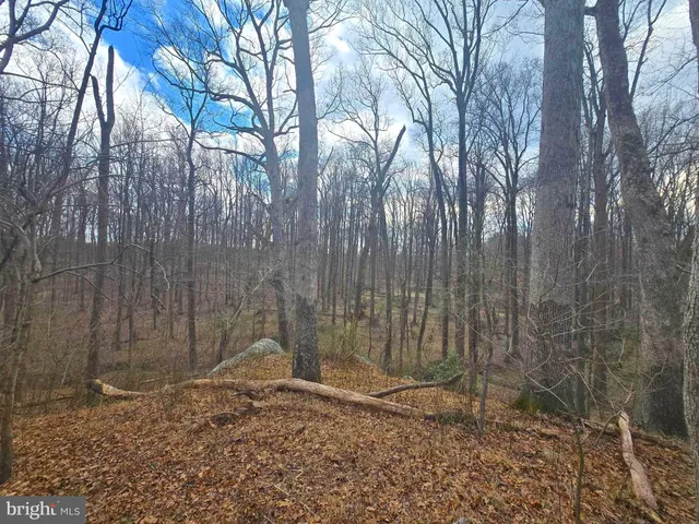 a backyard of a house with a trees