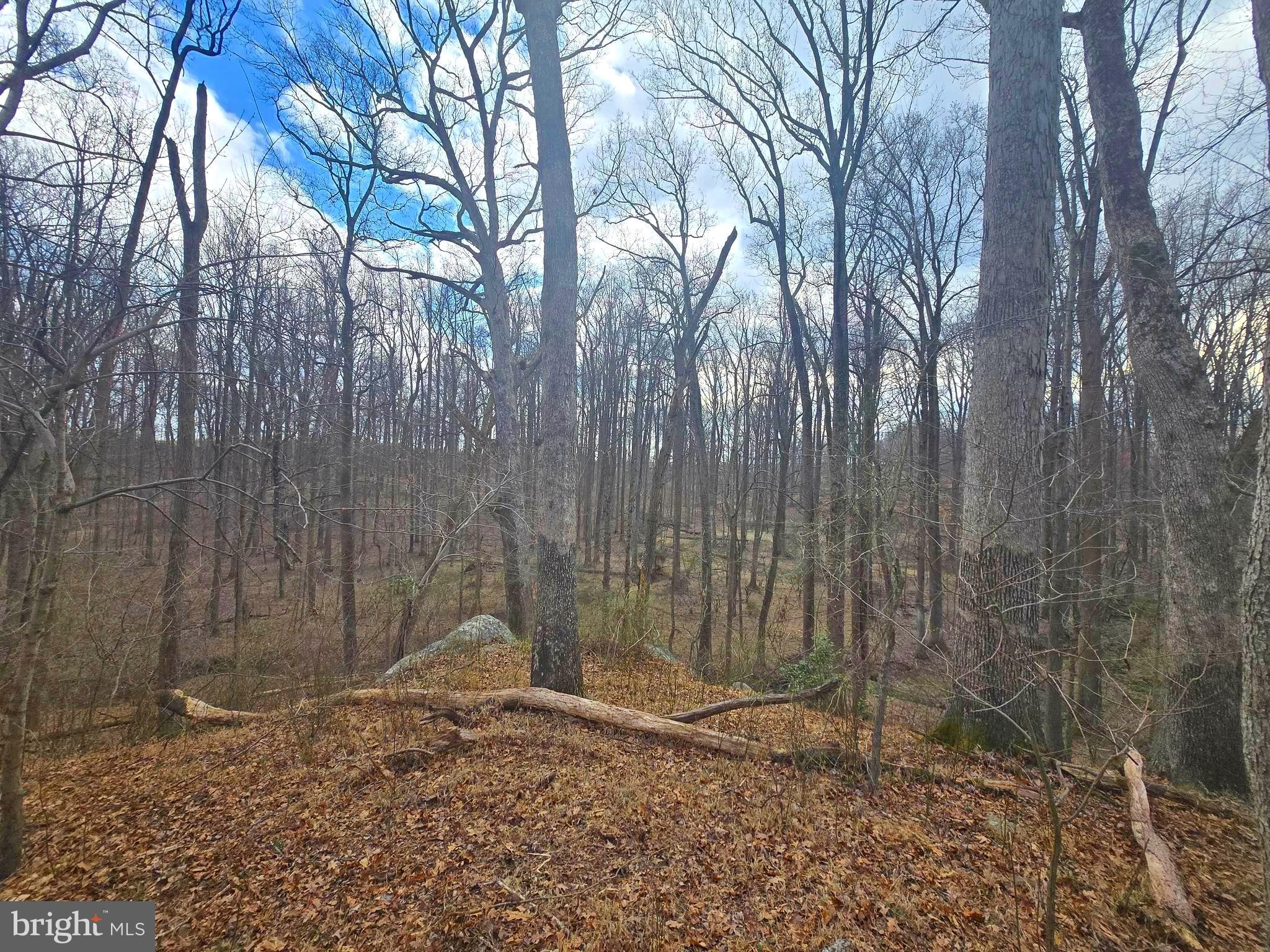 1160 Day Road Sykesville, MD 21784 - Photo 8 of 10 a backyard of a house with a trees