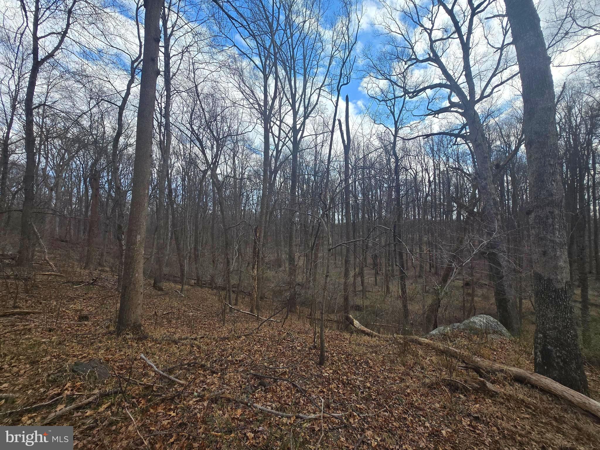 1160 Day Road Sykesville, MD 21784 - Photo 9 of 10 a backyard of a house with lots of green space