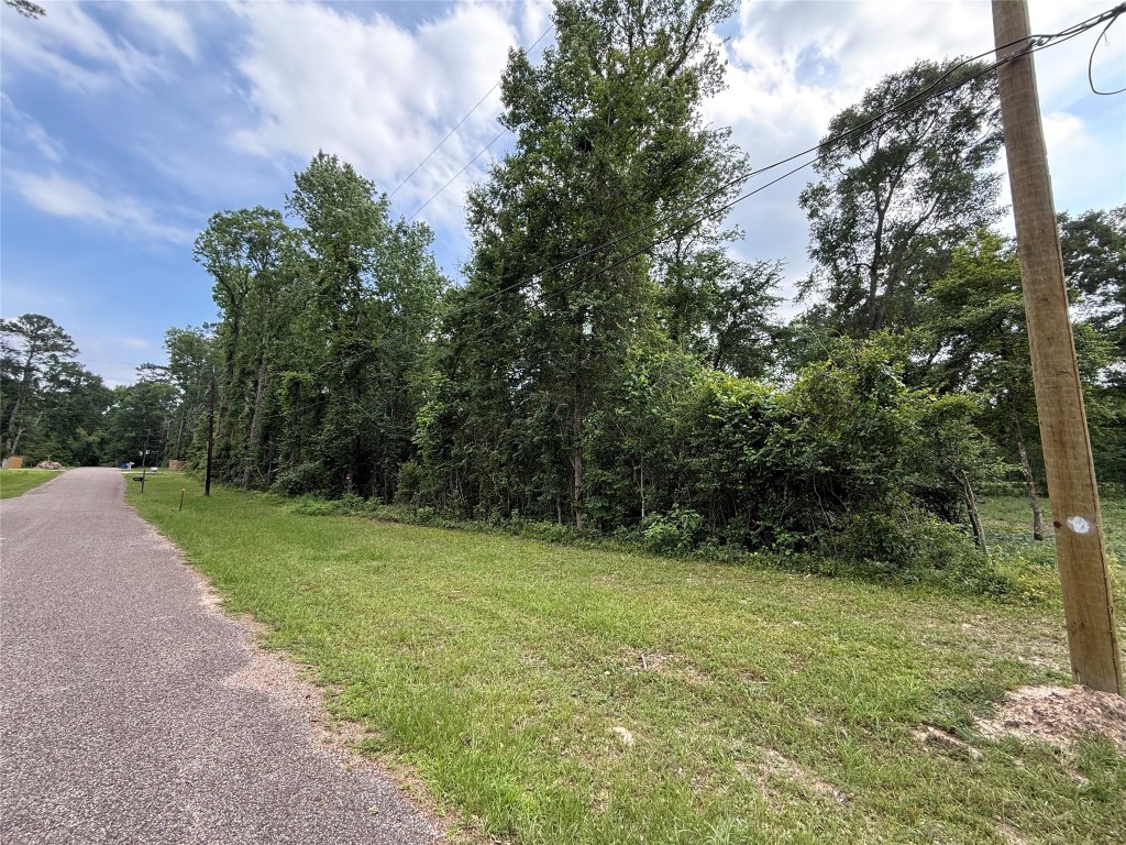 Tbd1-3 Forest Glen Conroe, TX 77303 - Photo 2 of 8 a view of a grassy field with trees