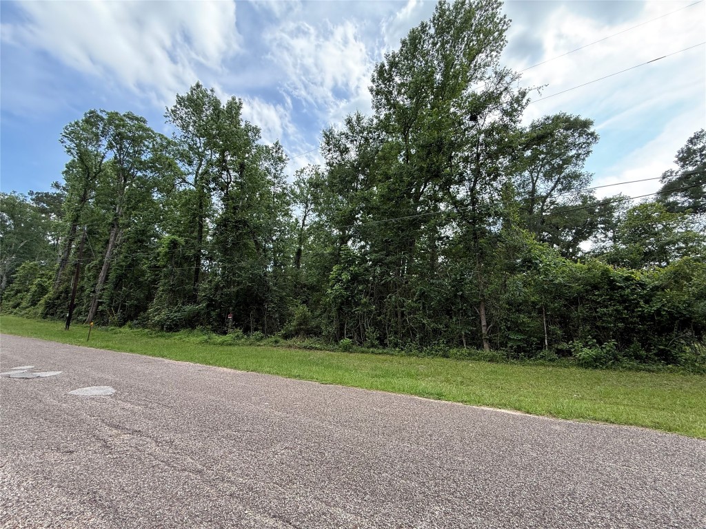 Tbd1-3 Forest Glen Conroe, TX 77303 - Photo 3 of 8 a view of a field with a trees in the background
