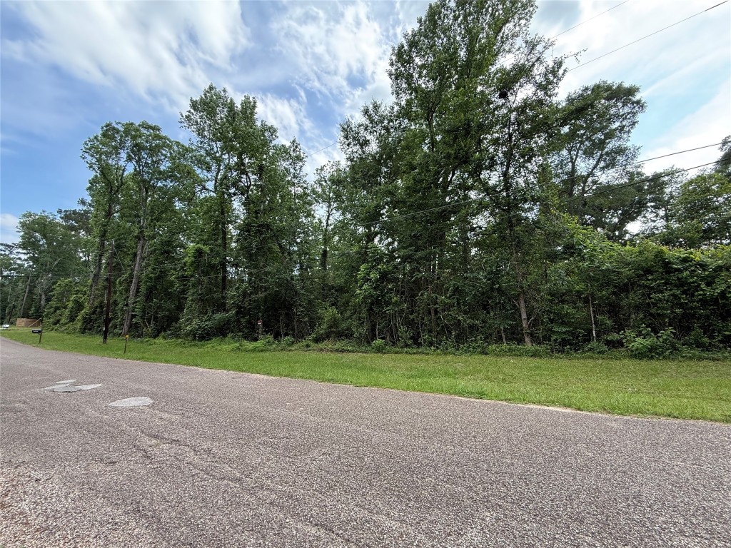 Tbd1-3 Forest Glen Conroe, TX 77303 - Photo 4 of 8 a view of a park with large trees