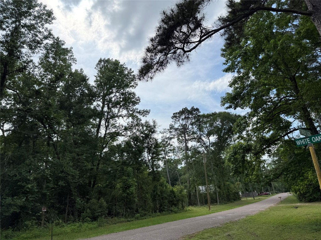 Tbd1-3 Forest Glen Conroe, TX 77303 - Photo 5 of 8 a view of a yard with plants and trees