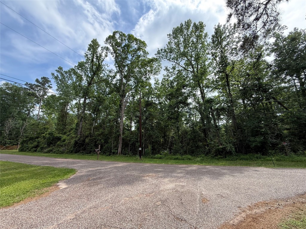 Tbd1-3 Forest Glen Conroe, TX 77303 - Photo 6 of 8 a view of outdoor space and yard