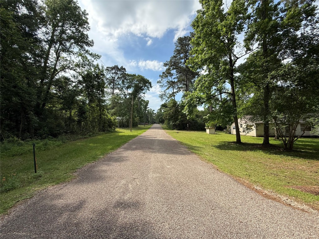 Tbd1-3 Forest Glen Conroe, TX 77303 - Photo 7 of 8 a view of a park with large trees