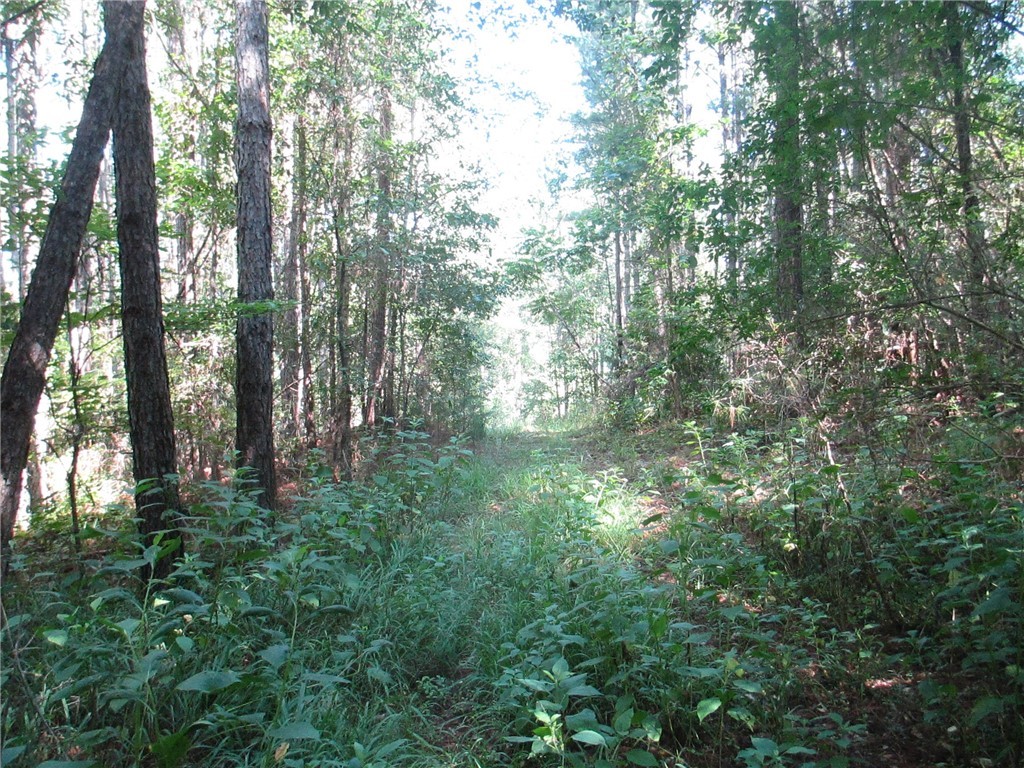 575 Jenkins Bridge Road Westminster, SC 29693 - Photo 8 of 12 Gallery Image 8