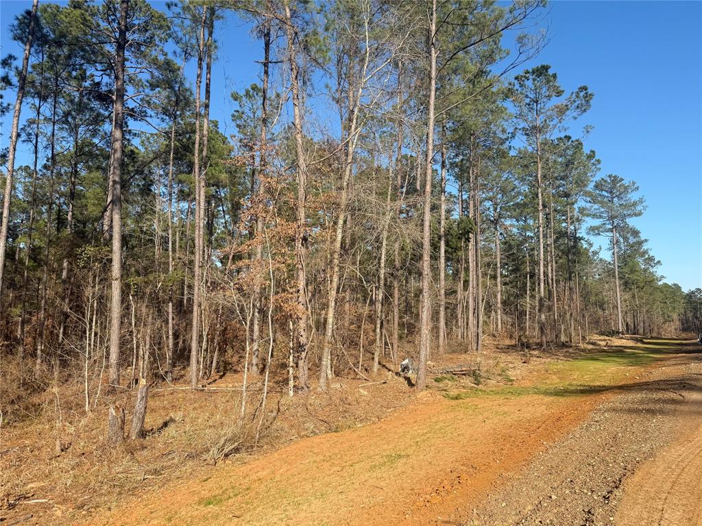Lot 10 King Estate Lane Ruston, LA 71270 - Photo 2 of 8 a view of under construction area